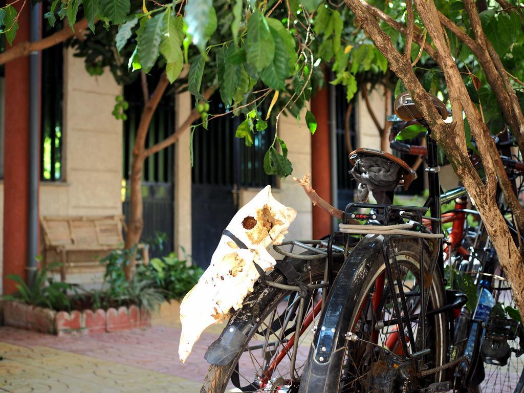 Manuhie Backpackers Lodge Bahir Dar Pokoj fotografie