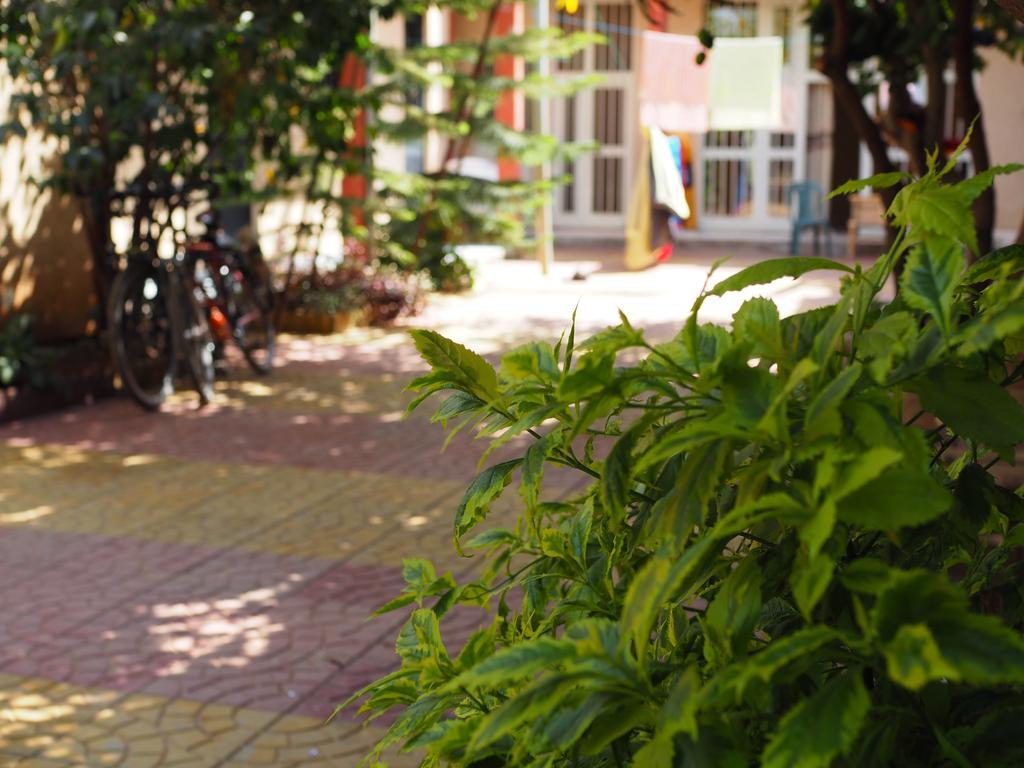 Manuhie Backpackers Lodge Bahir Dar Pokoj fotografie